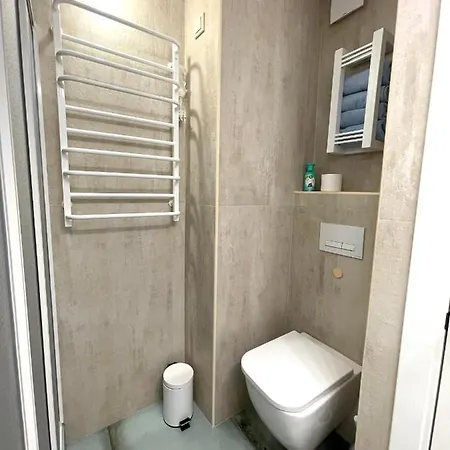 Novel Glebova Apartment Lviv