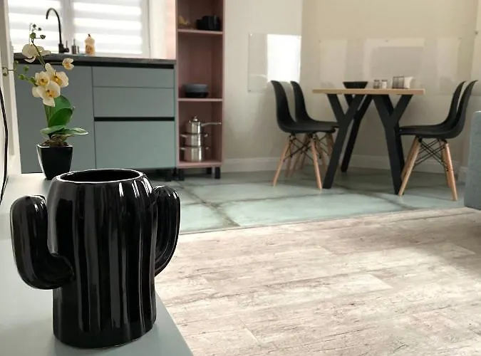 Novel Glebova Apartamento Leópolis